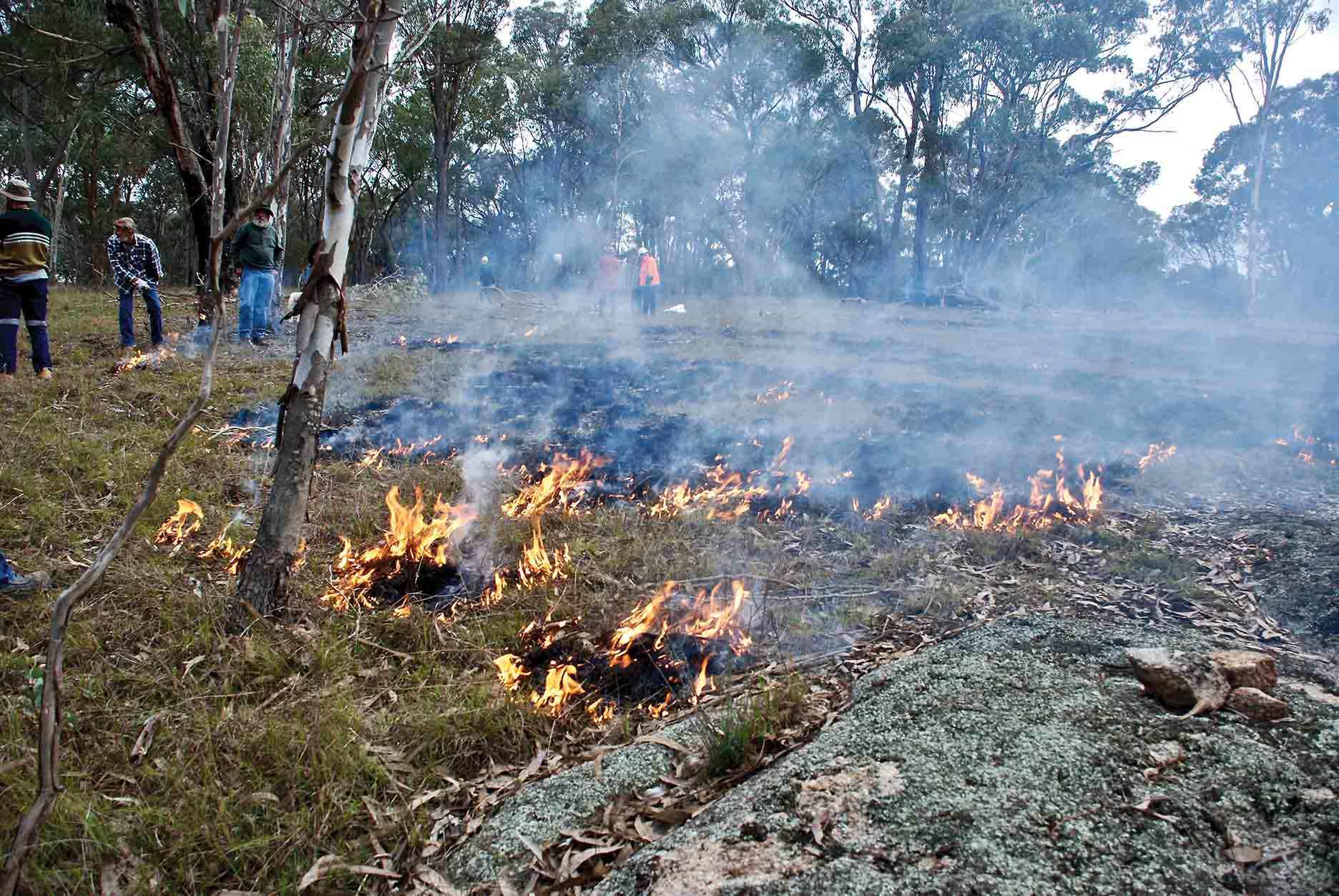 Spreading the lesson of cultural burning — Victorian Landcare Gateway