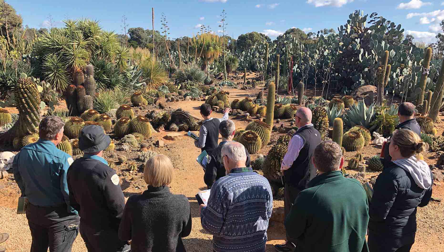 An invasive cacti identification workshop coordinated by the WESI Team at Cactus Country, Strathmerton in 2019.