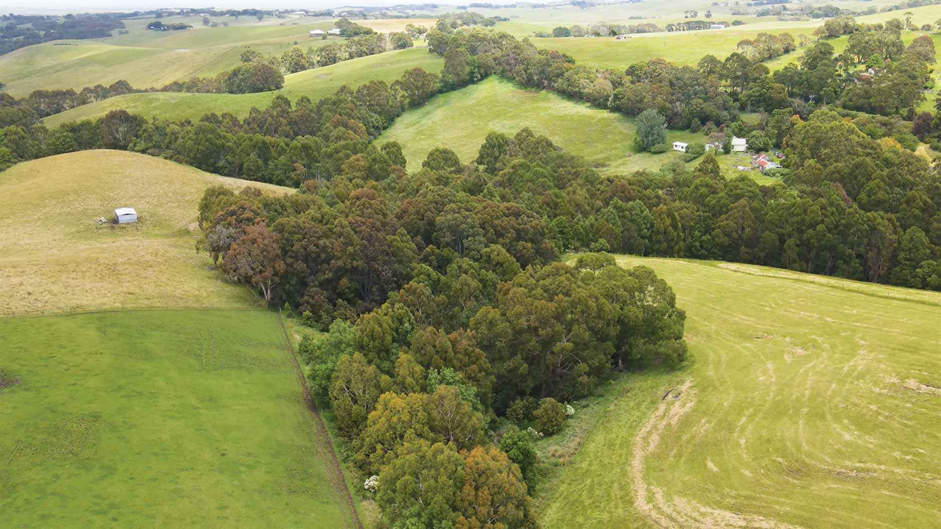 A drone image showing the flourishing biolinks on Paul Speirs’ Ryanston property in 2022.