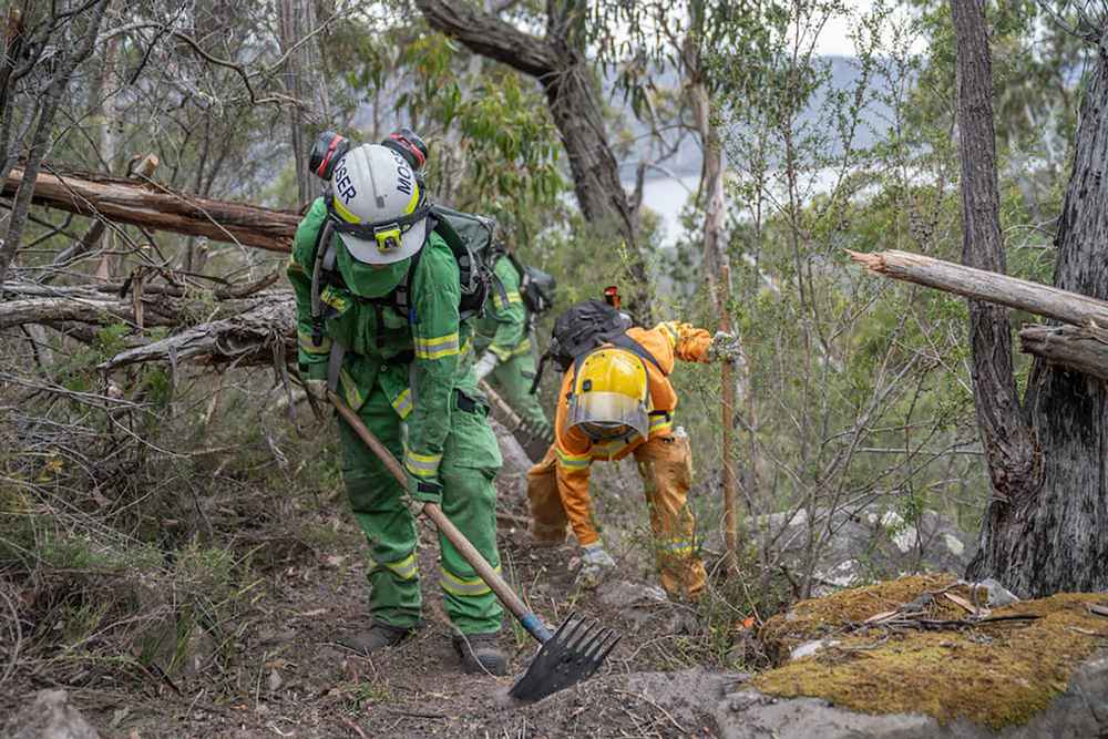Parks Victoria and Forest Fire Management staff clear debris from paths in Grampians National Park (Gariwerd). 