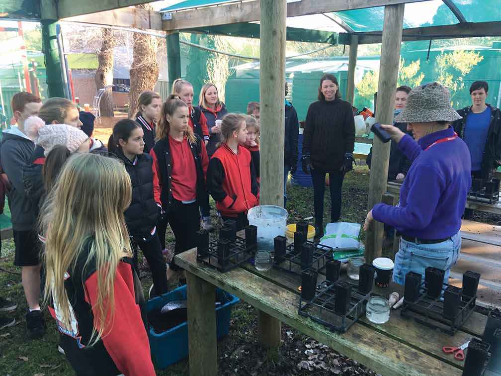 Newham and District Landcare Group members share their propagation skills with students from Newham Primary School.