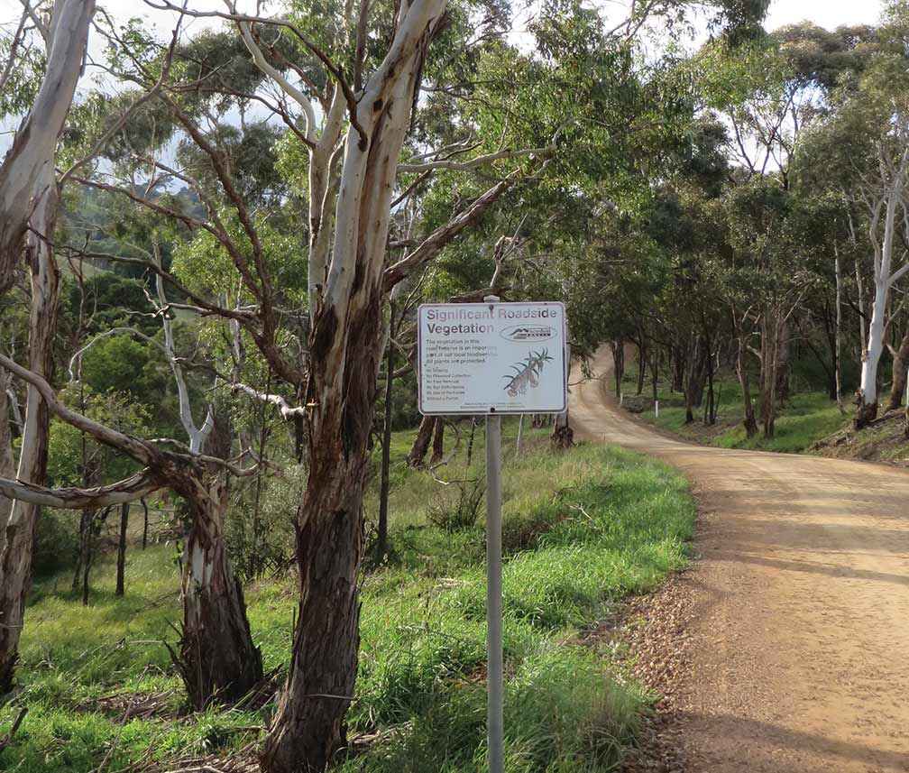 A significant roadside vegetation sign erected by Macedon Ranges Shire along Simons Hill Road in Darraweit Guim.