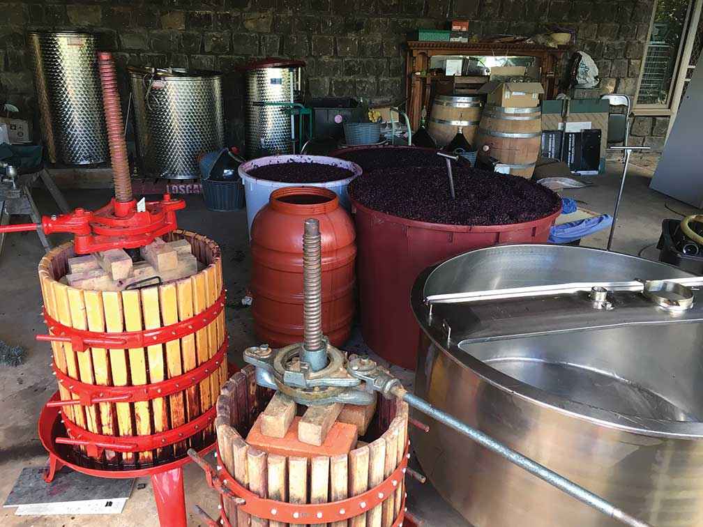 Wine making equipment in the shed. Vintages have ranged from zero to 2000 litres.