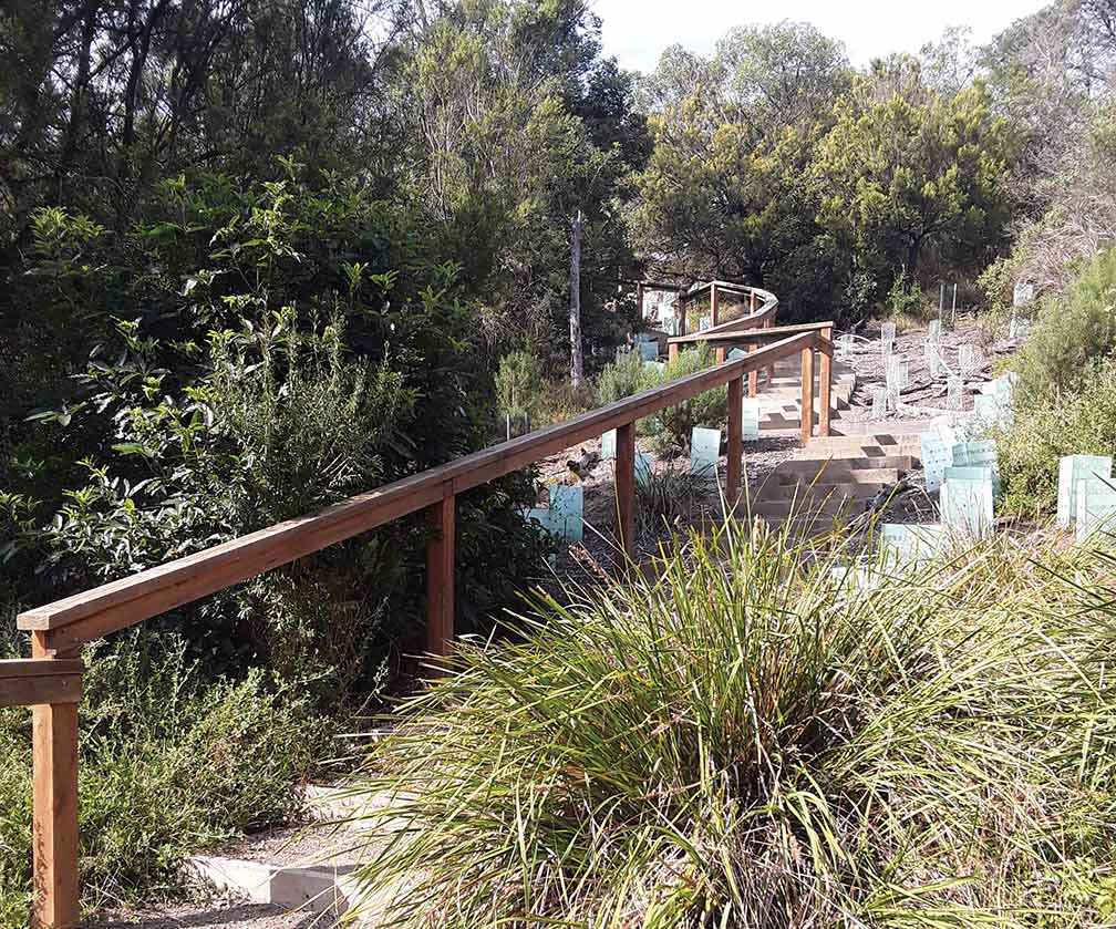 The 100 steps at Tambo Bluff after completion.