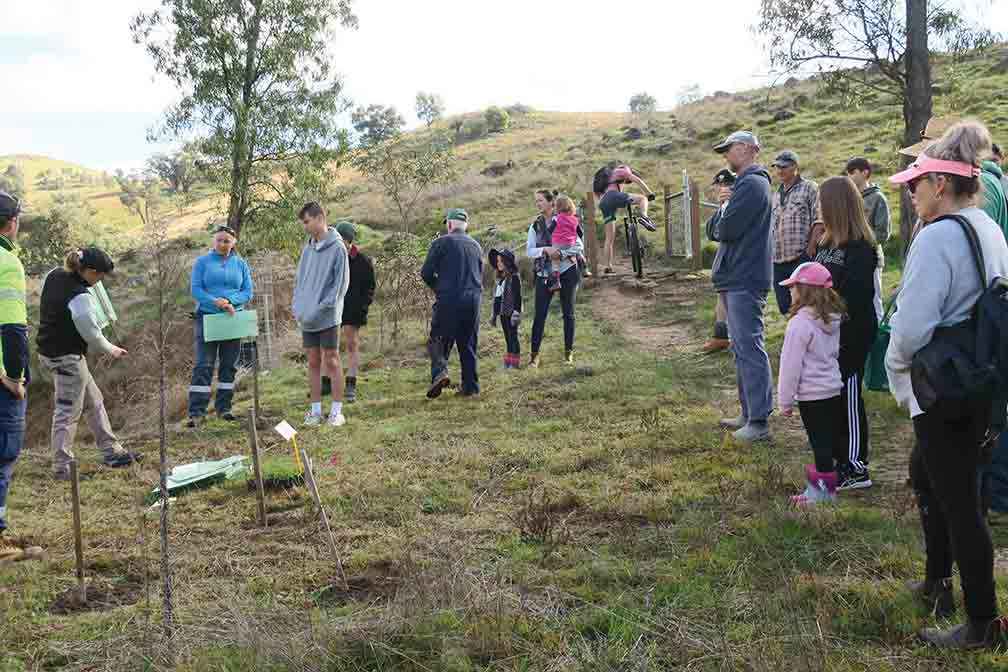 A community tree planting event at Klings Hill in 2023.