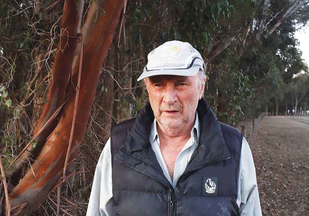 Kevin Nolte has been responsible for planting more than one million native trees in Tahara West and surrounding areas over more than 35 years.