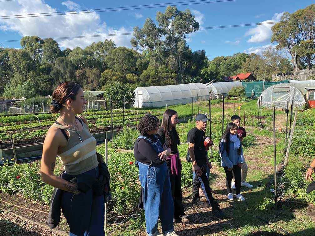 Participants discuss biodiversity in the garden at Banksia Gardens Community Services in <br />
Broadmeadows during the 2023 CARYA training program.<br />
