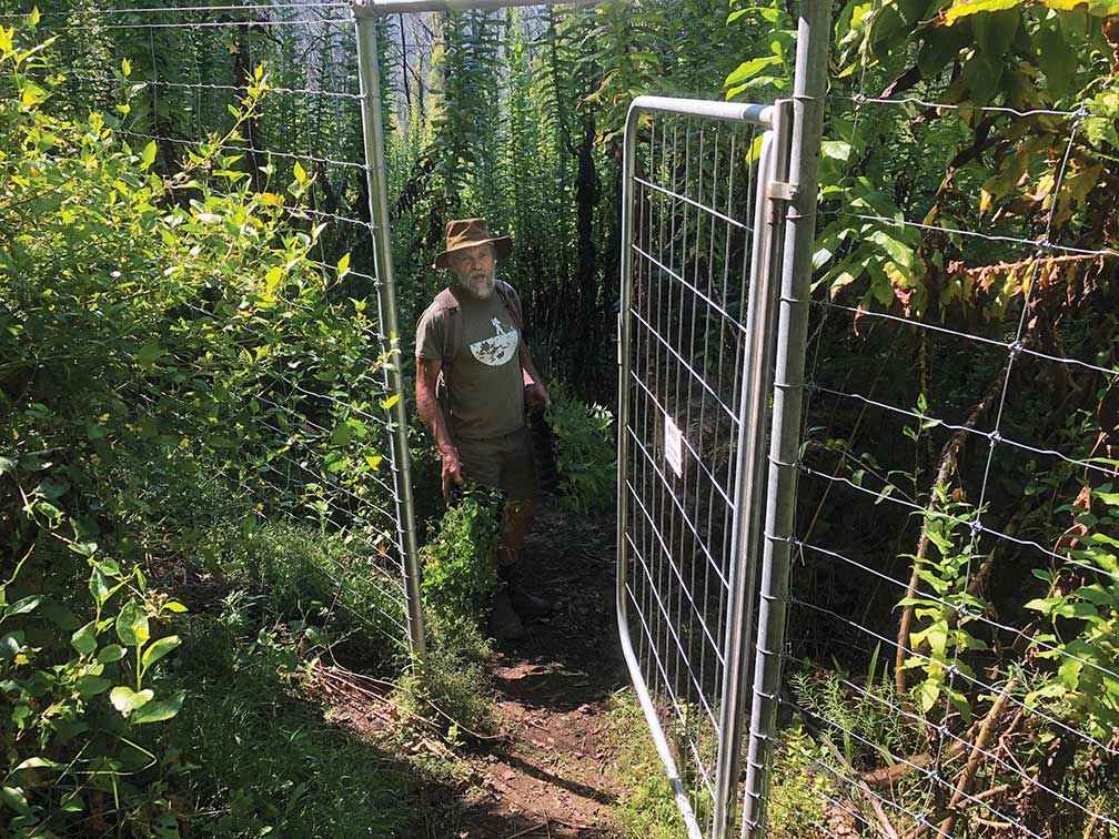 FUNCi member John Hermans standing at the rainforest restoration site before and after the revegetation project. A superb lyrebird is now nesting in this area.