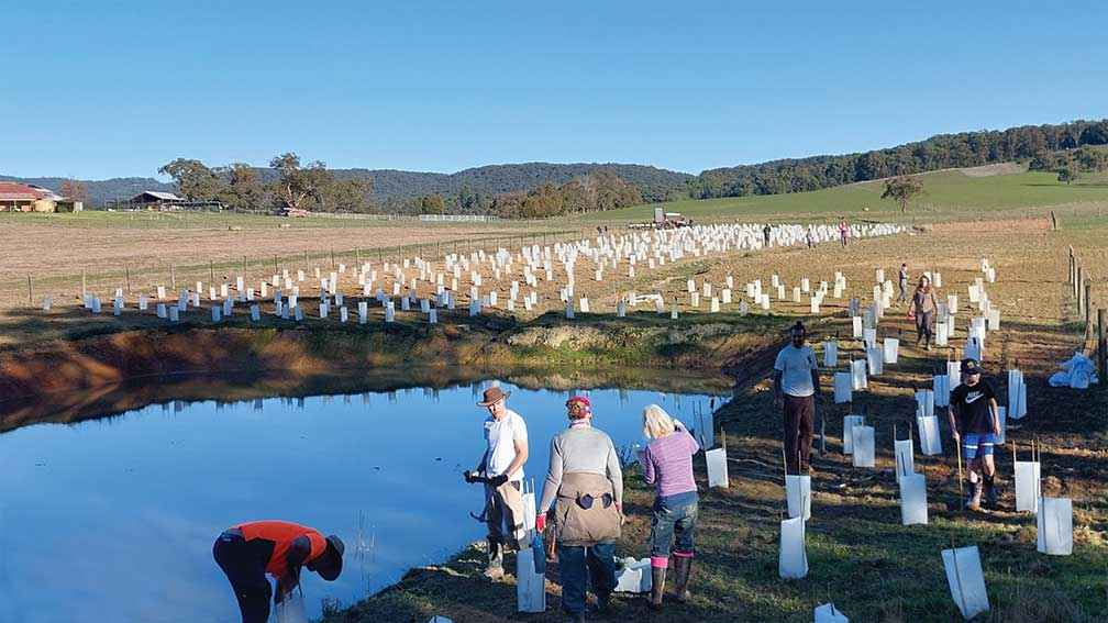 Enthusiastic volunteers planting for TreeProject at Hoddles Creek in 2022.