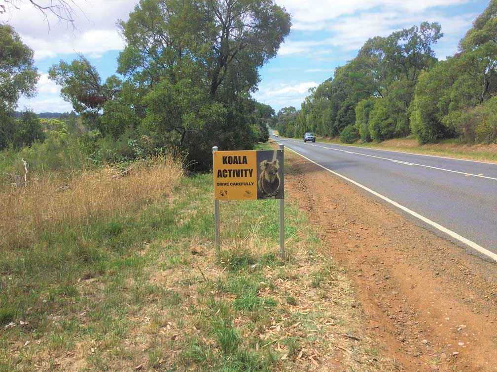 Koala awareness road signs were first installed during koala breeding season on the Mornington Peninsula in 2021.