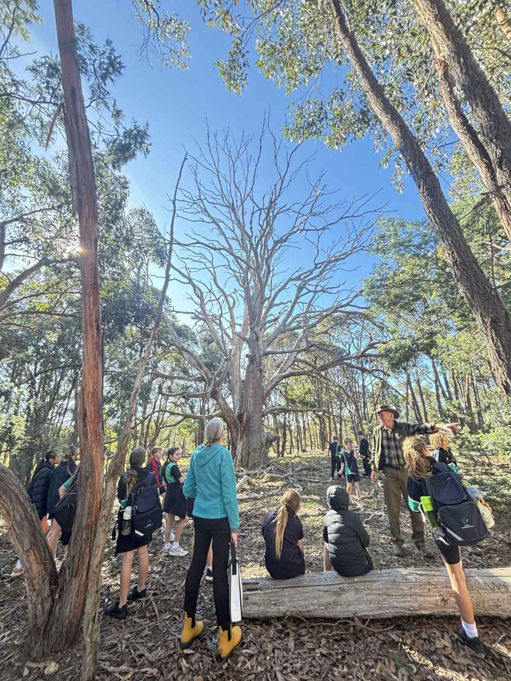 Karl and his wife Brigitte, have transformed a degraded grazing property into a living  classroom where science, practical land management and community learning come together.