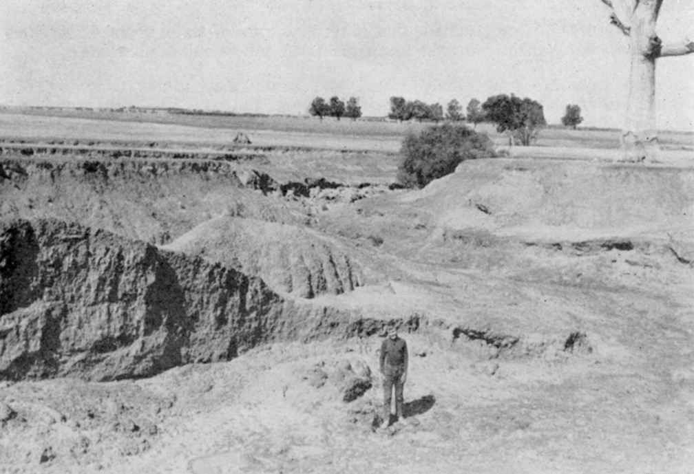 Gully erosion on Inverness in 1955. Geoff Henderson’s work on the property saw these gullies completely halted and repaired. Son Tim is standing in the gully.