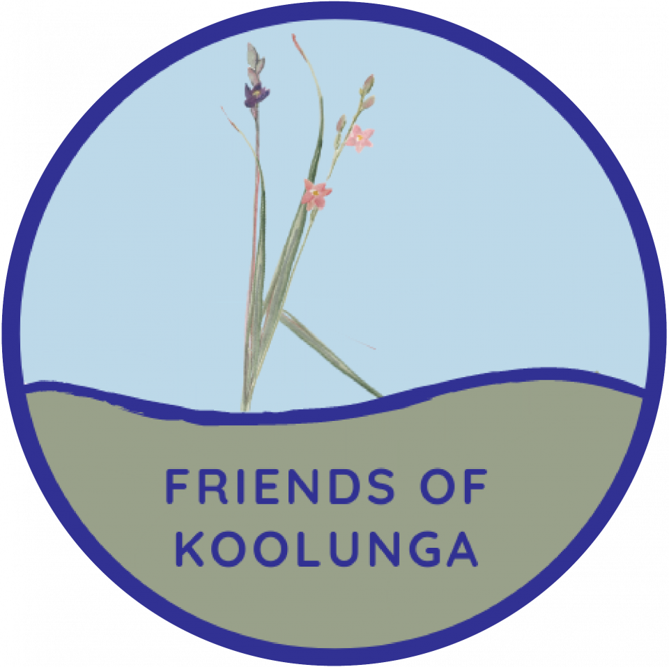 friends of Koolunga - transparent background.png