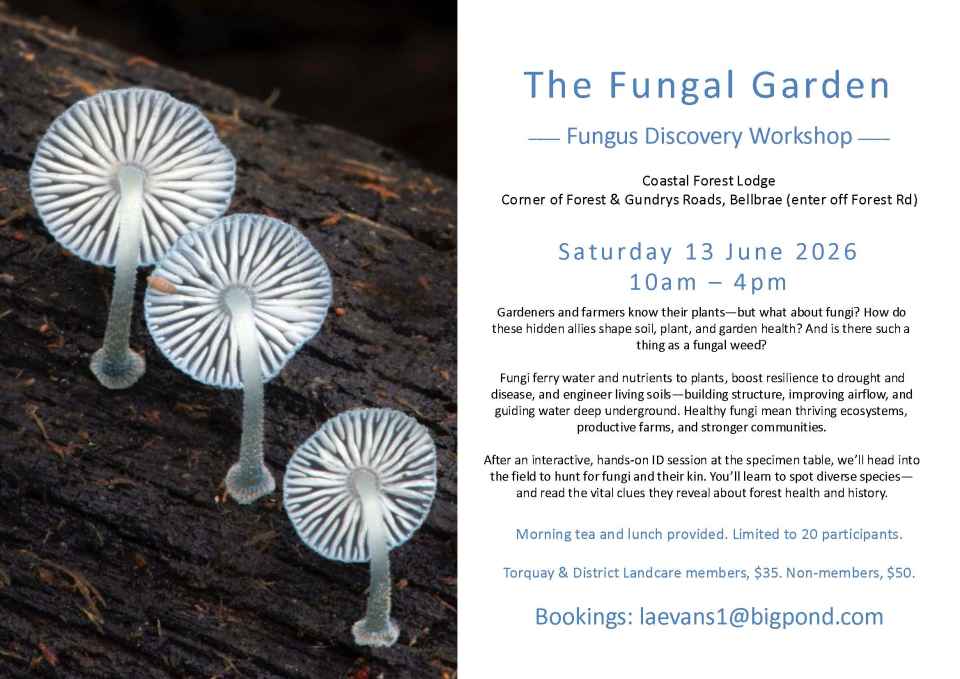 Fungal_Garden_Flyer_2026.jpg