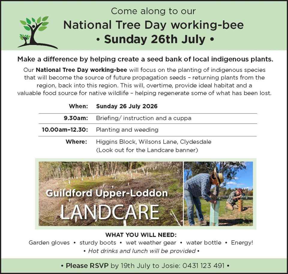 National Tree Day Workshop_FINAL.jpg