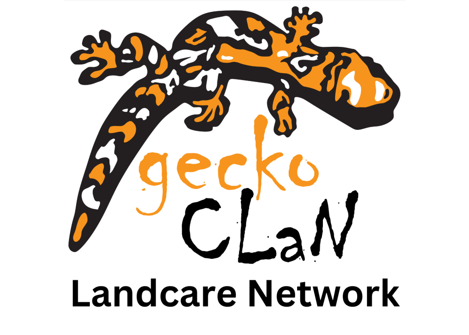 Gecko Landcare Network Logo.png