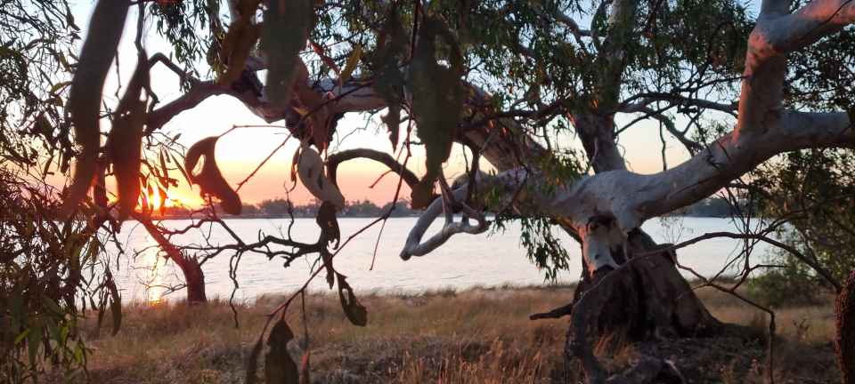 Walkers - Landcare website photo.jpg