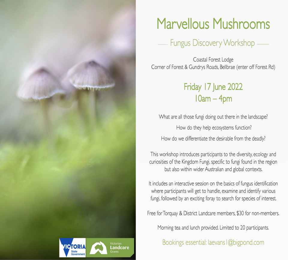 Marvellous_Mushrooms_Workshop_Flyer_2022.jpg