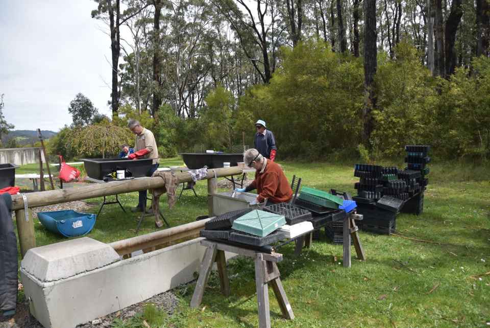 Pot_washing team Yinnar Yinnar Sth landcare_4report.jpg