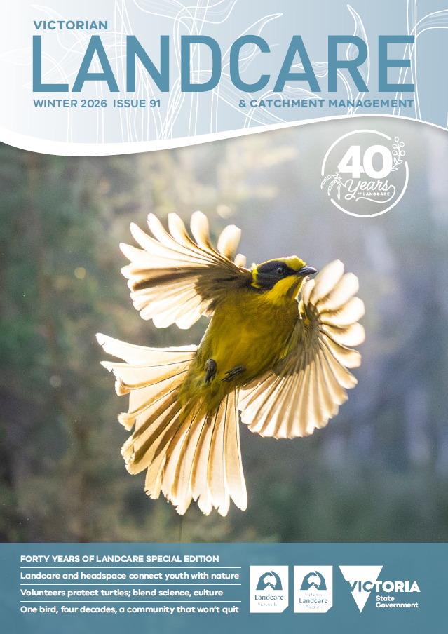 Issue91 Cover2